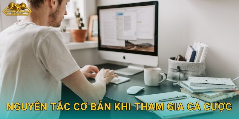 Nguyên Tắc Cơ Bản Khi Tham Gia Cá Cược