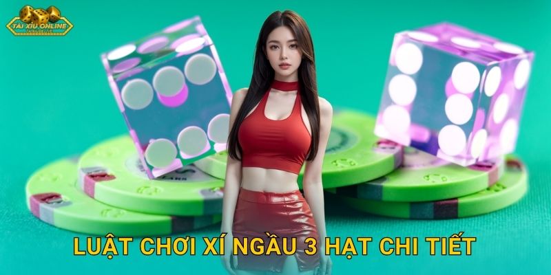 Luật Chơi Xí Ngầu 3 Hạt Chi Tiết