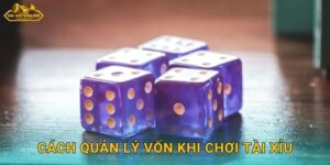 Cách Quản Lý Vốn Khi Chơi Tài Xỉu – Bảo Toàn Tài Chính Tại Tài Xỉu Online