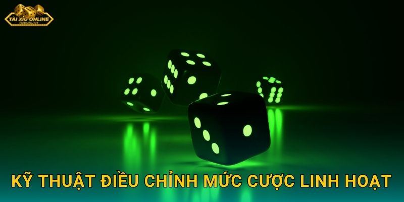 Kỹ Thuật Điều Chỉnh Mức Cược Linh Hoạt