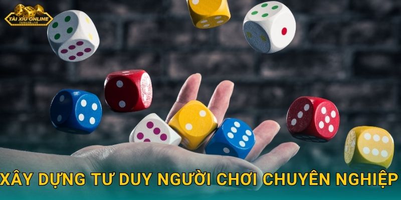 Xây Dựng Tư Duy Người Chơi Chuyên Nghiệp